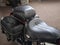 2008 Harley-Davidson Softail Base