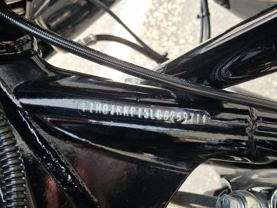 2020 Harley-Davidson Streetglidespecial Special
