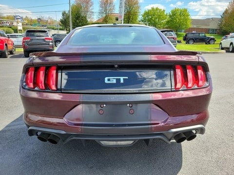2018 Ford Mustang GT in Downingtown, PA - Jeff D'Ambrosio Auto Group